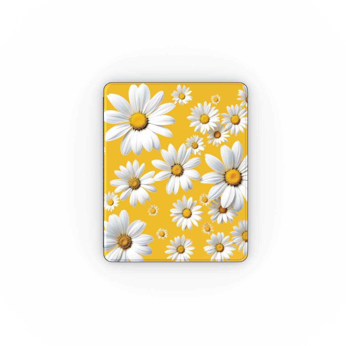 iPad Cases