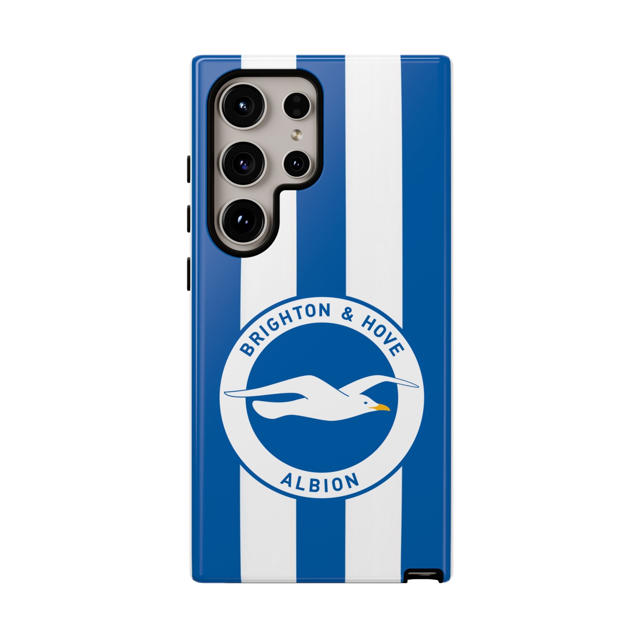 Brighton FC Samsung Case