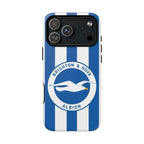 Brighton FC MagSafe iPhone case with blue and white stripes and seagull crest