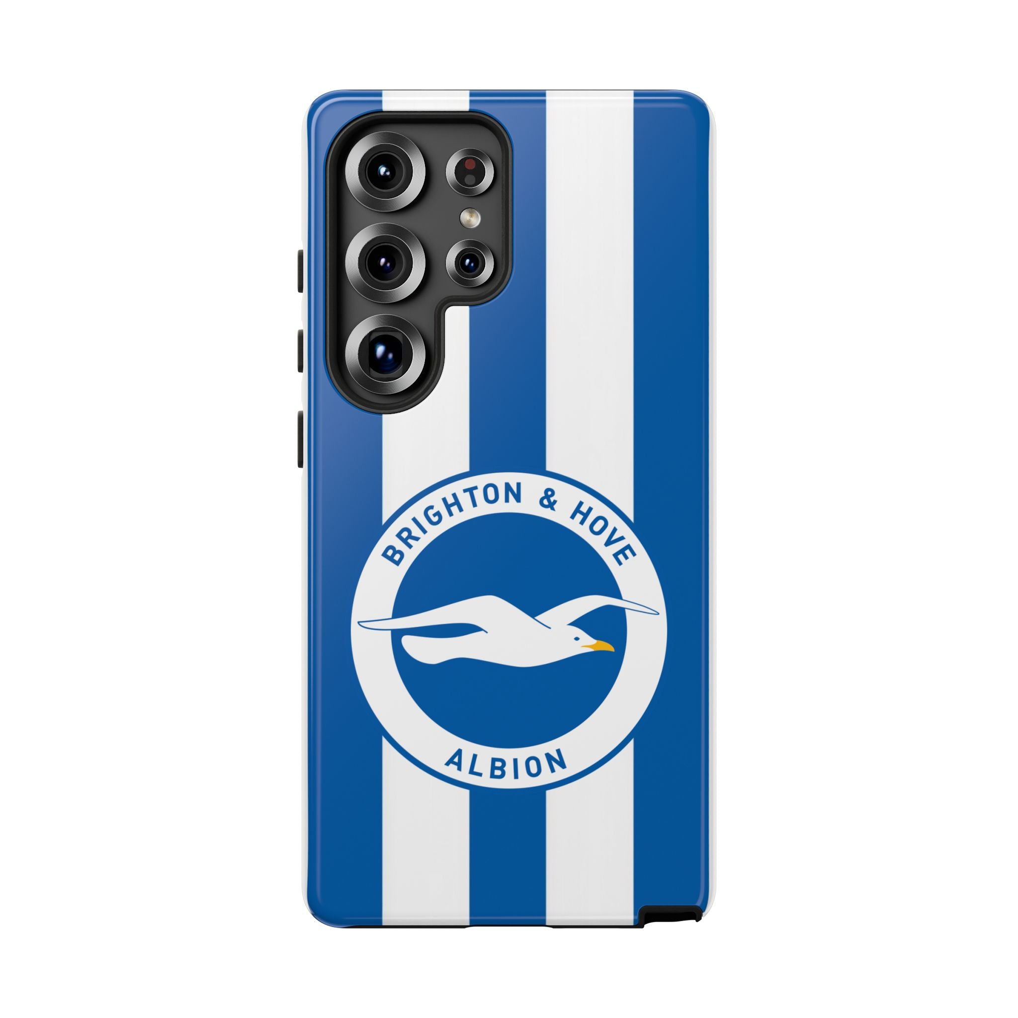 Brighton FC Samsung Case