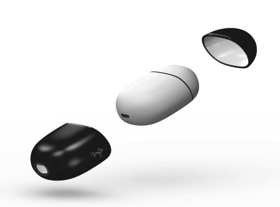 Black Google Pixel Buds Pro/Pro2 Protective Case